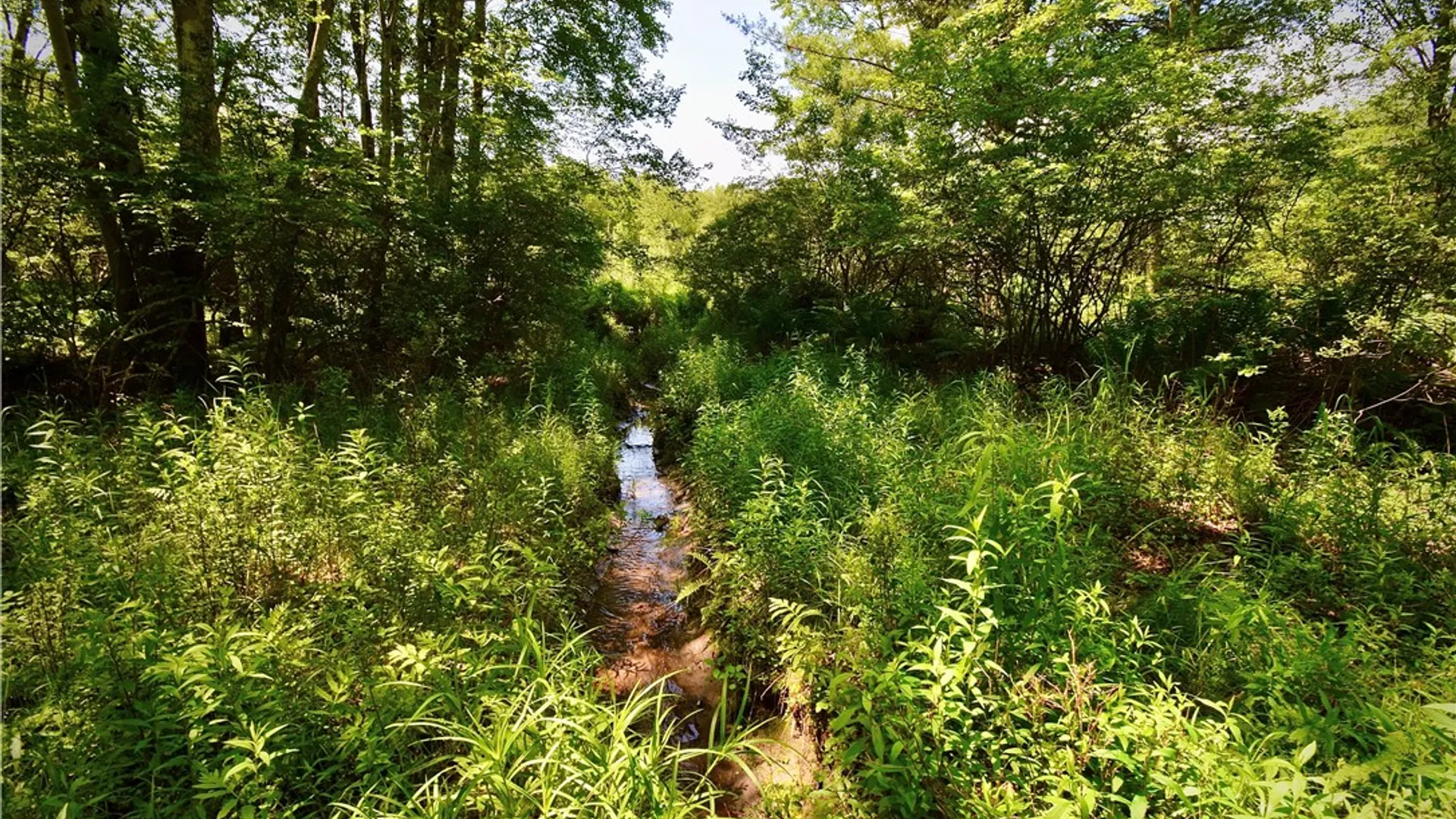 Property at Route 52, Wawarsing, NY 12489 35