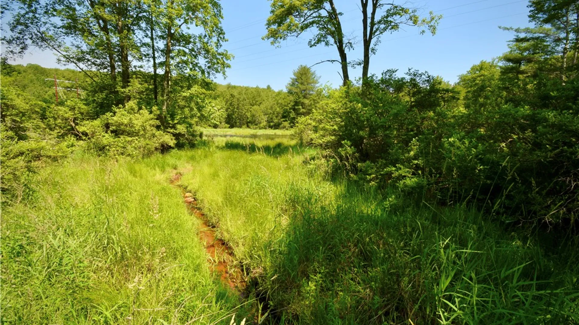 Property at Route 52, Wawarsing, NY 12489 36