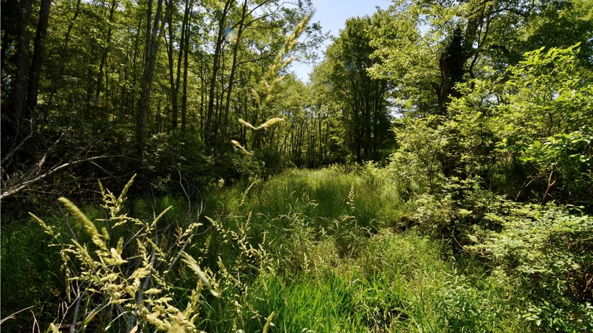 Property at Route 52, Wawarsing, NY 12489 37