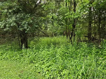 Sims Lane, Cazenovia, NY 13035