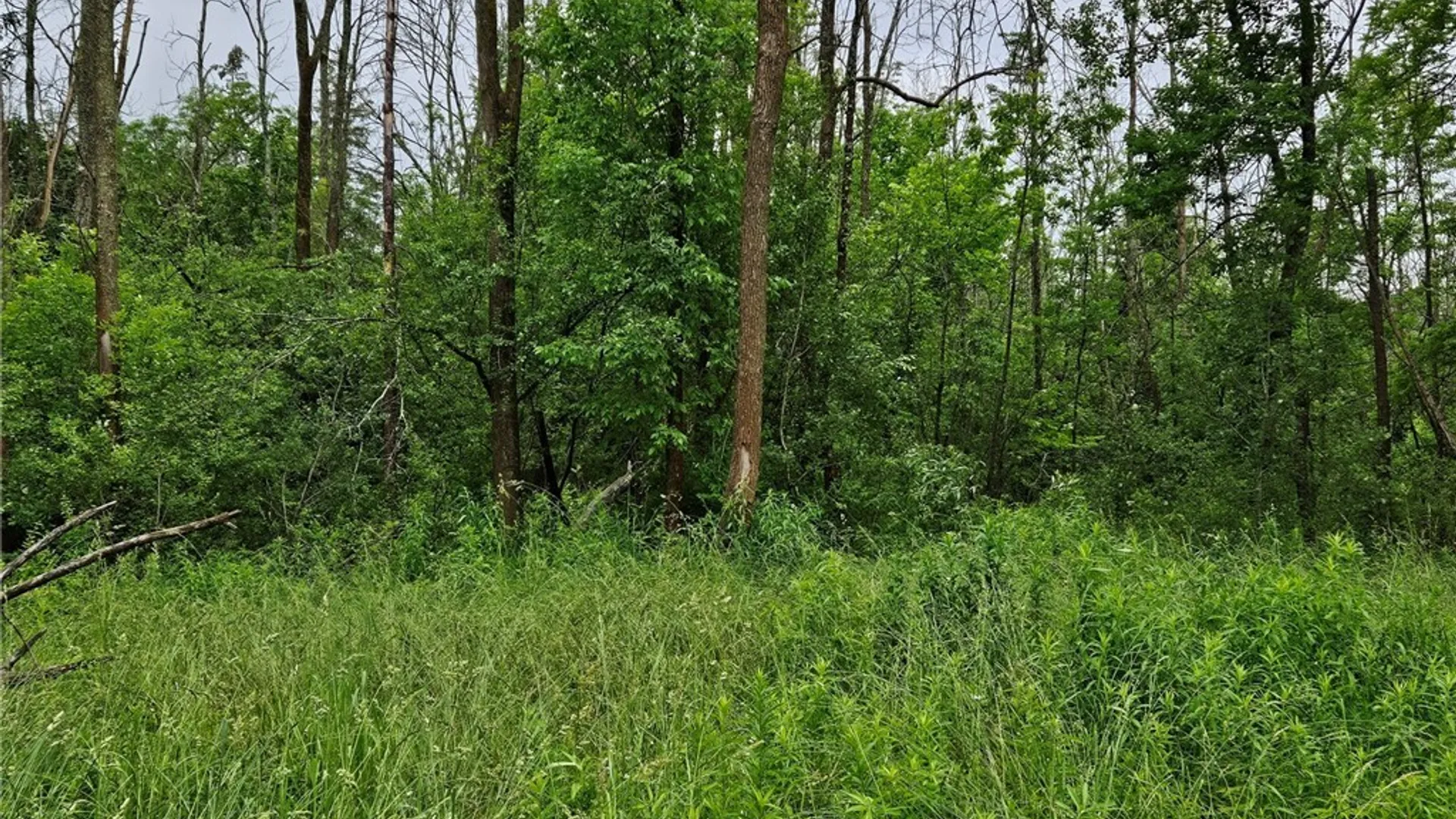 Property at Sims Lane, Cazenovia, NY 13035 2