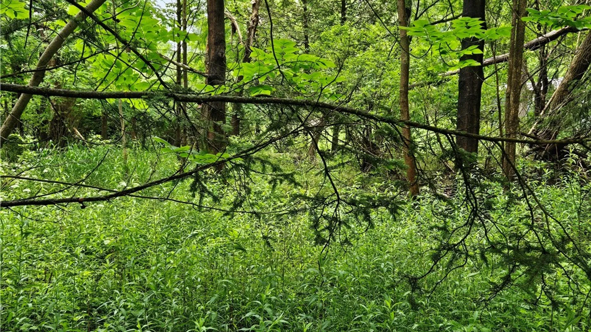 Property at Sims Lane, Cazenovia, NY 13035 4