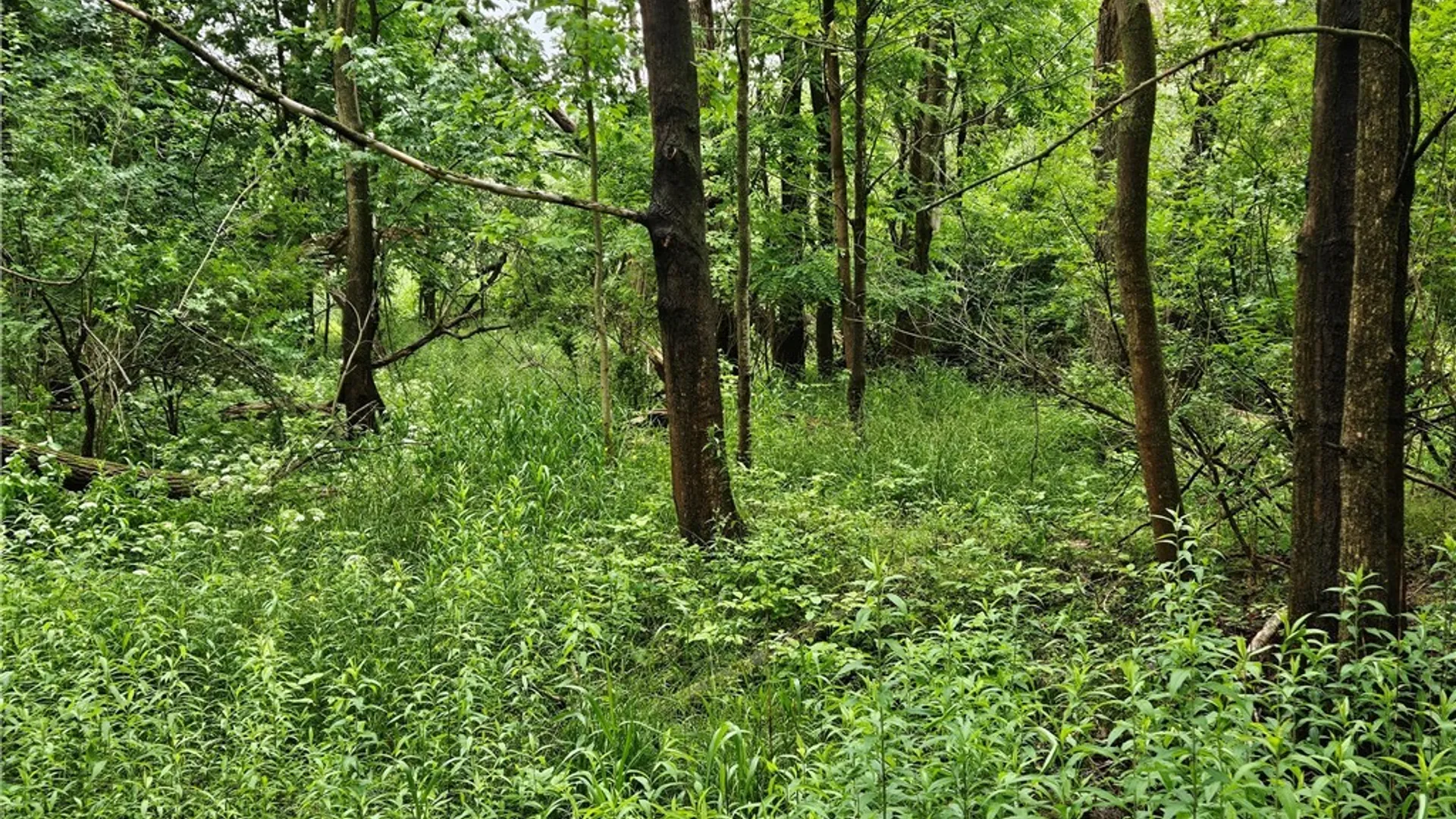 Property at Sims Lane, Cazenovia, NY 13035 5