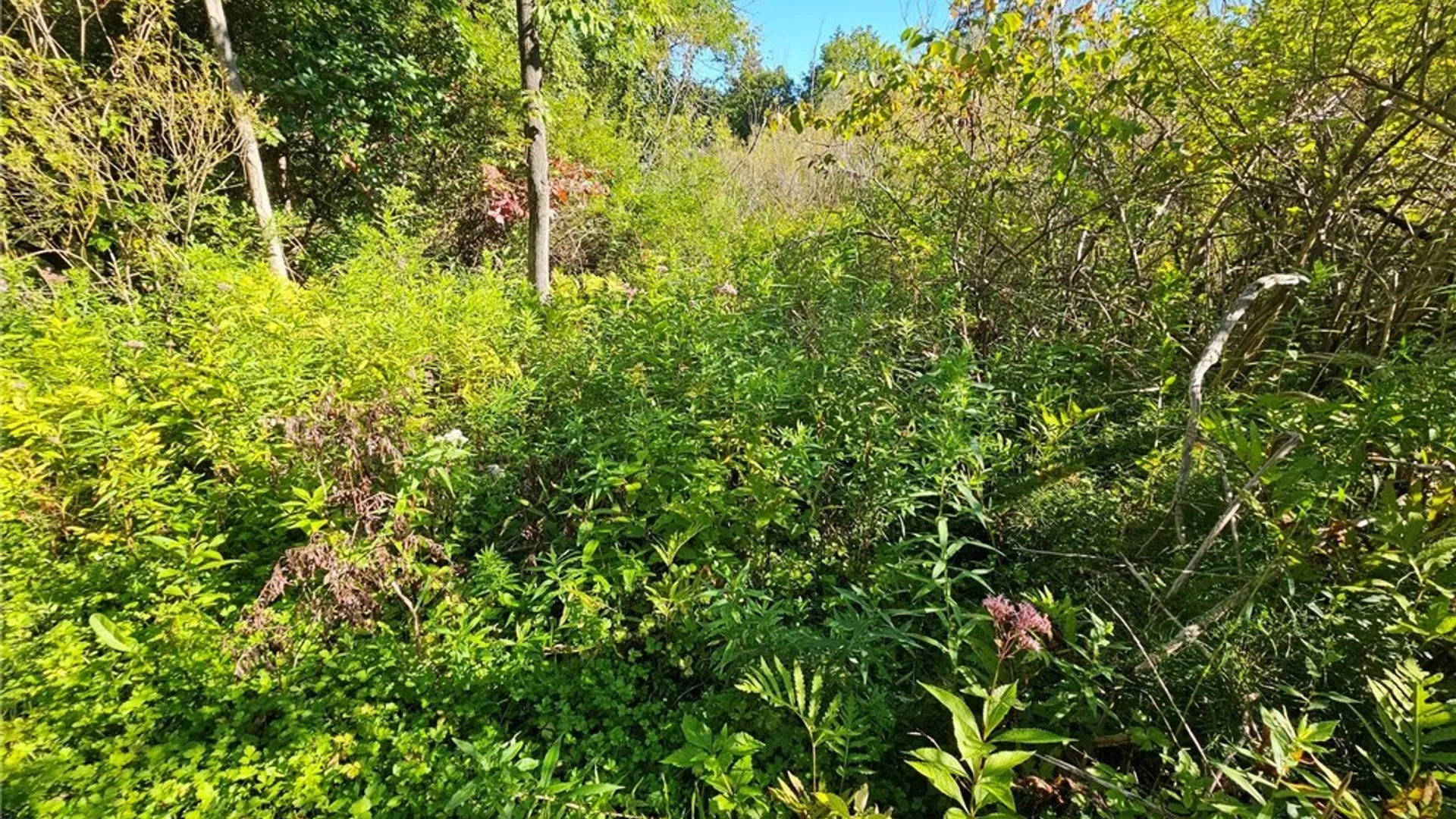 Property at Sims Lane, Cazenovia, NY 13035 6