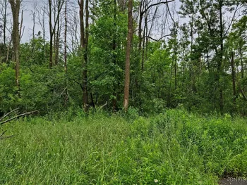 56 Myrtle Street, Cazenovia, NY 13035