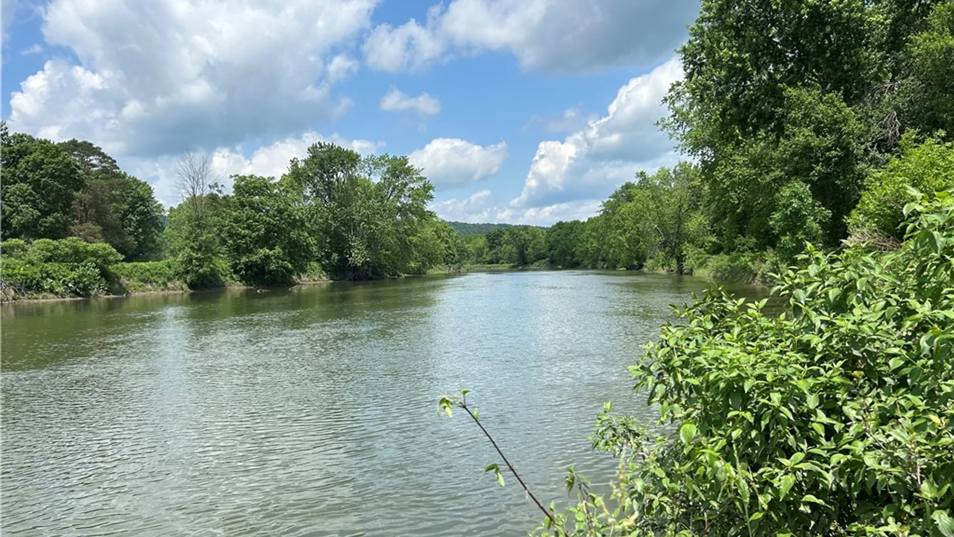 Property at 115 Iona Lane, Greene, NY 13778 13