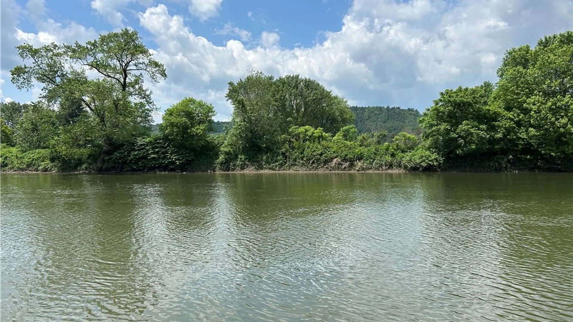 Property at 115 Iona Lane, Greene, NY 13778 15