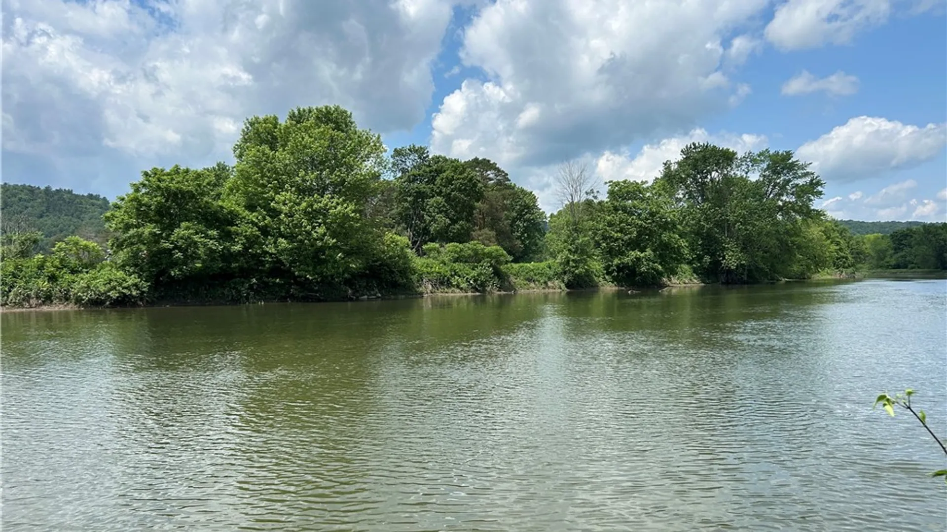 Property at 115 Iona Lane, Greene, NY 13778 16