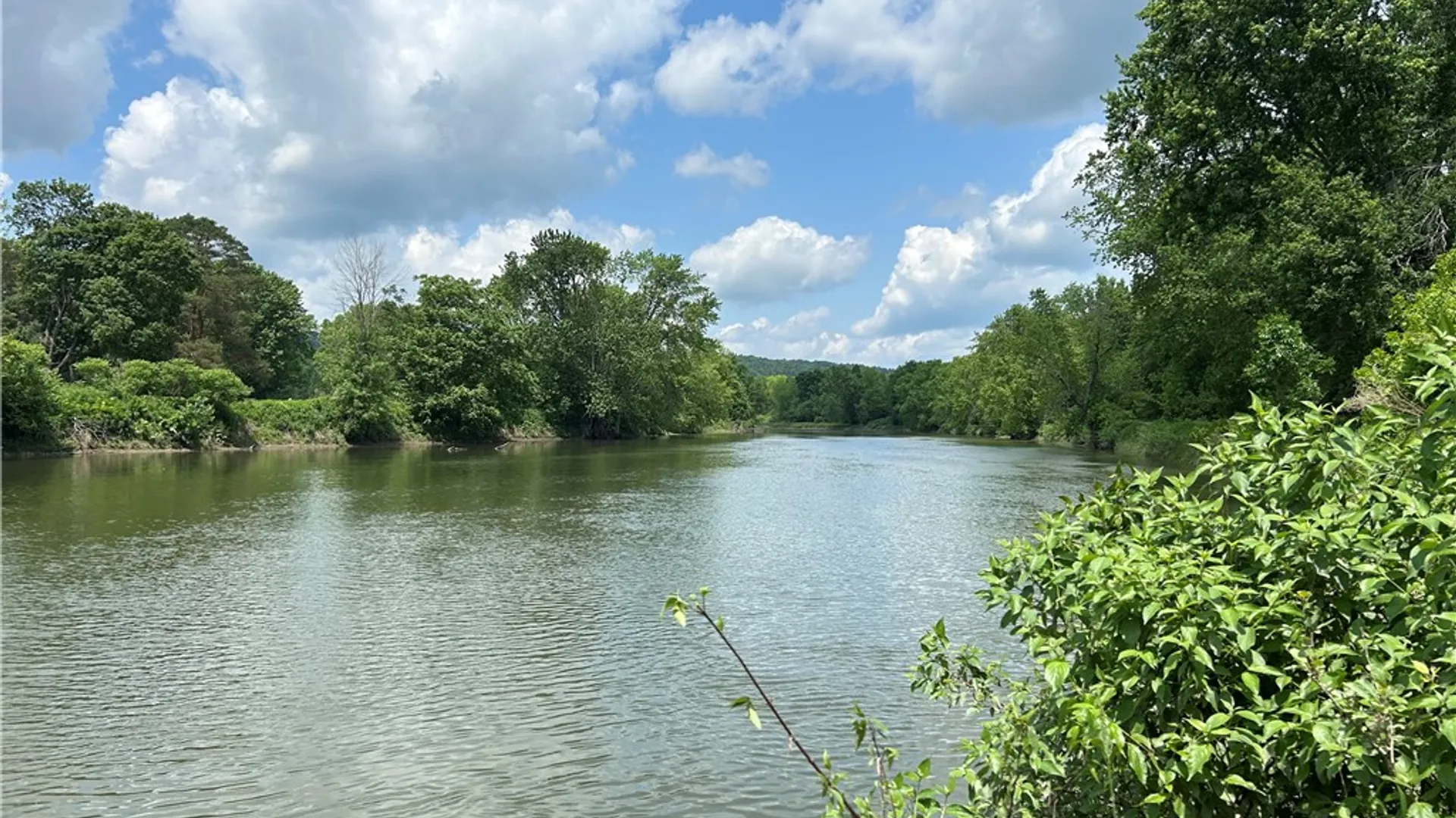 Property at 115 Iona Lane, Greene, NY 13778 17