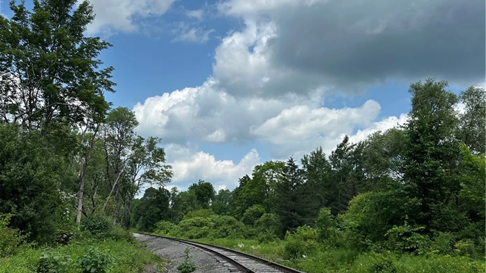 Property at 115 Iona Lane, Greene, NY 13778 18