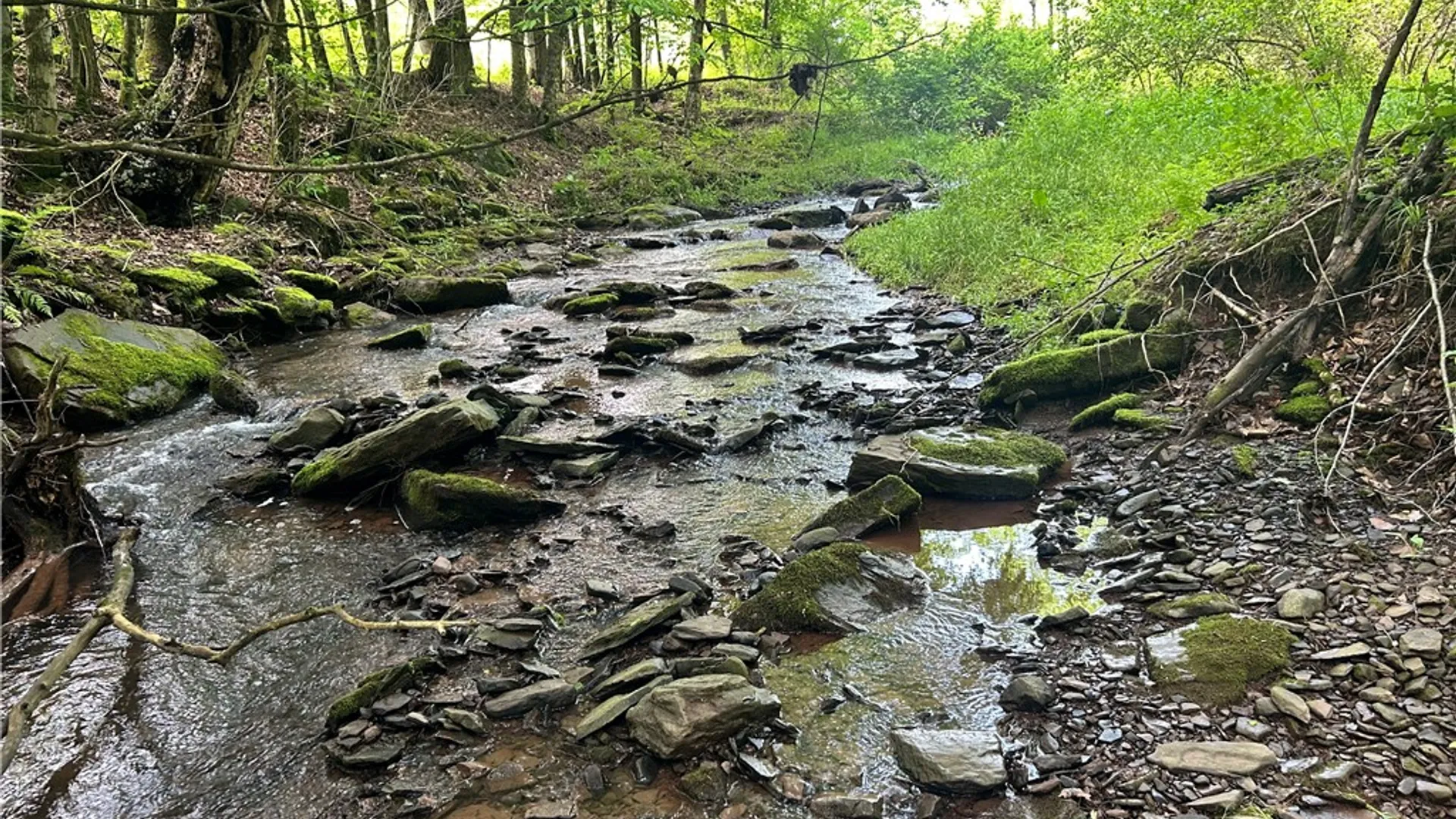 Property at 00 Oregon Road, Butternuts, NY 13776 2
