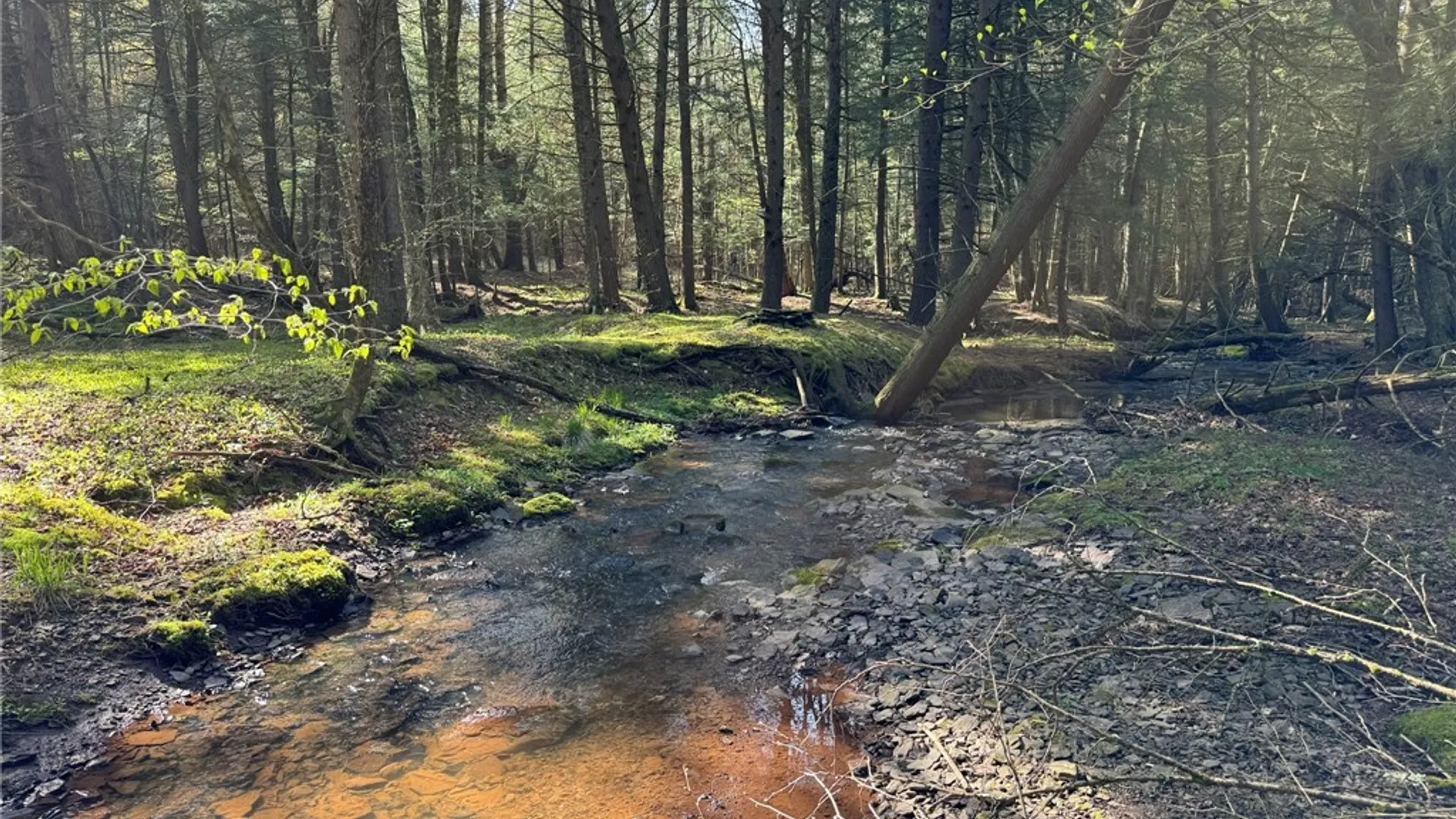 Property at 00 Oregon Road, Butternuts, NY 13776 4
