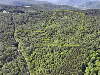 Property at 0 Park Hill Road, Van Etten, NY 14838