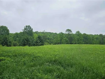 Property at Gospel Hill Road, Oxford, NY 13830