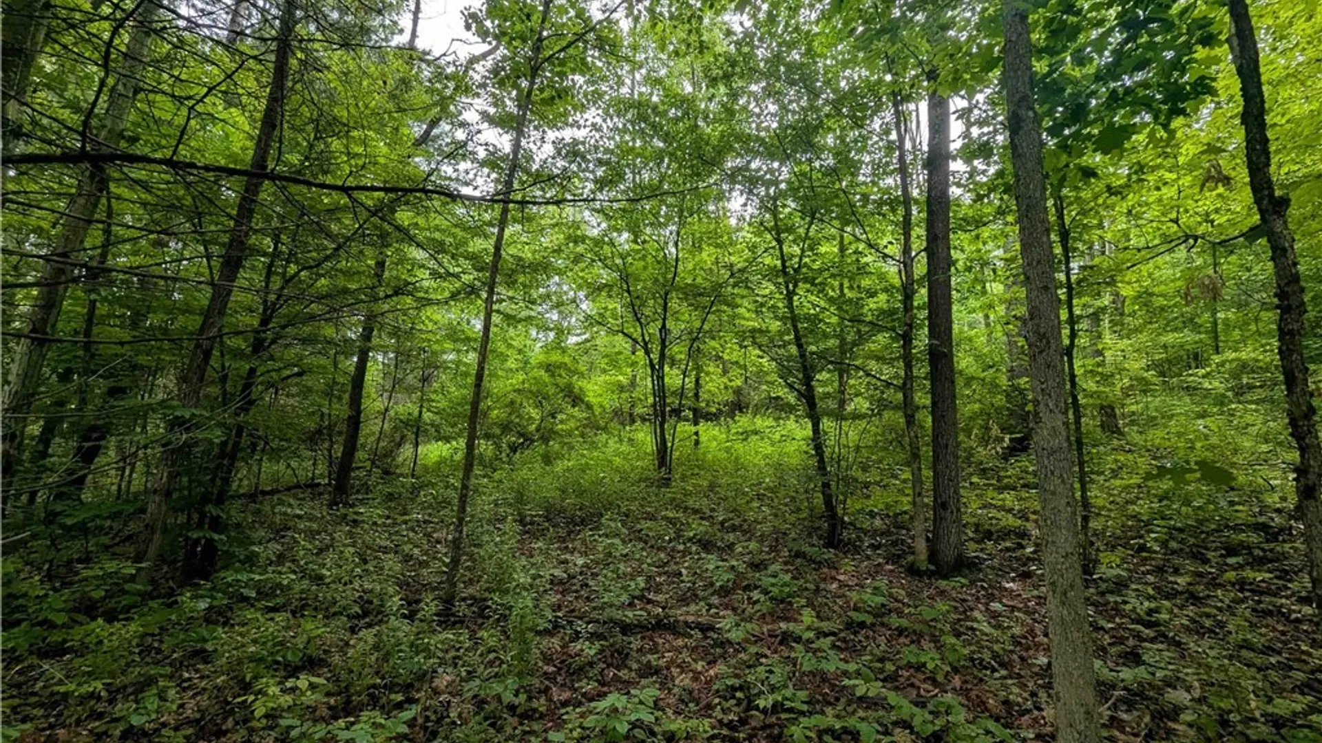 Property at Bell Hill Road, Lindley, NY 14858 12