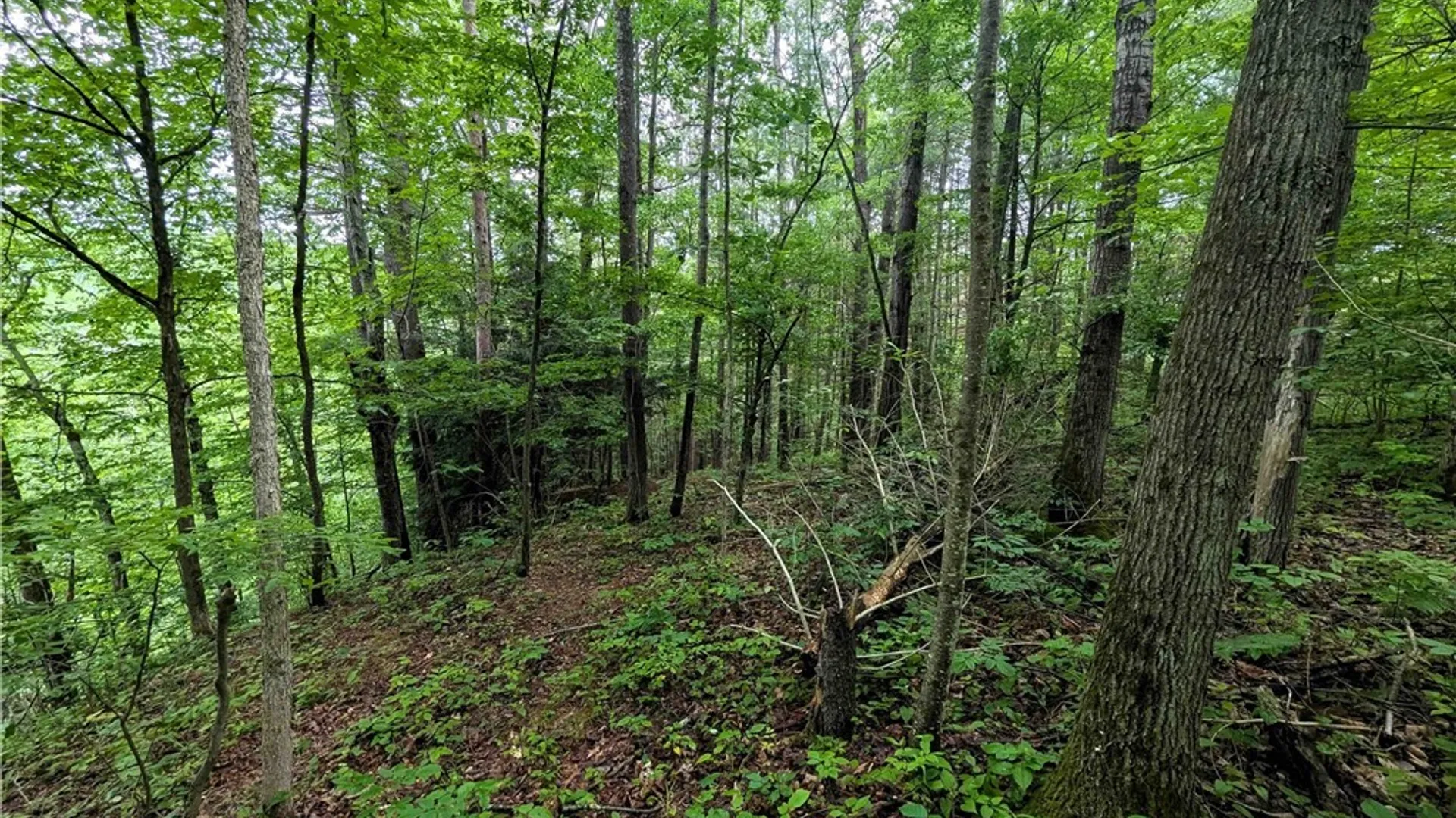 Property at Bell Hill Road, Lindley, NY 14858 13