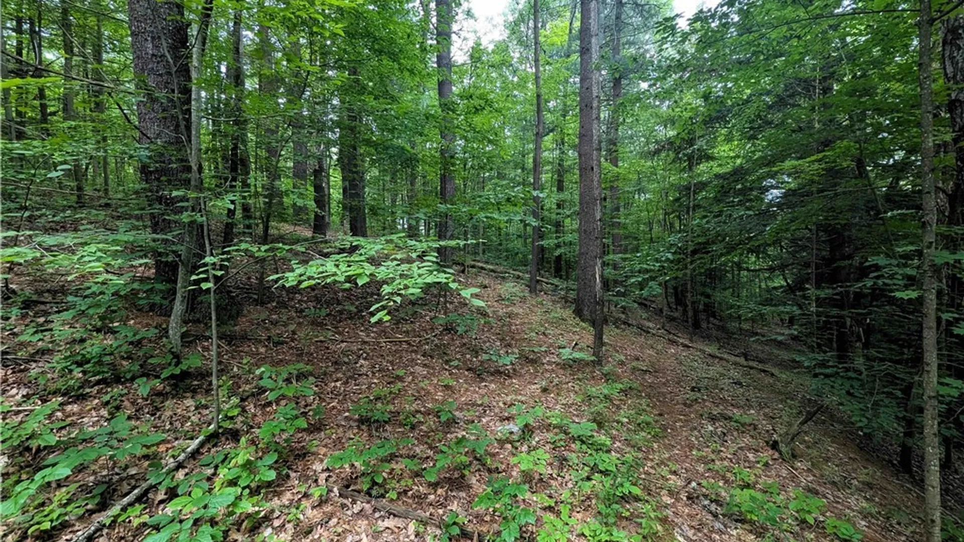 Property at Bell Hill Road, Lindley, NY 14858 5