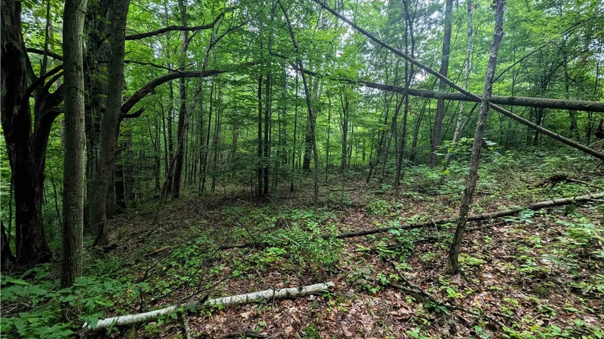 Property at Bell Hill Road, Lindley, NY 14858 6