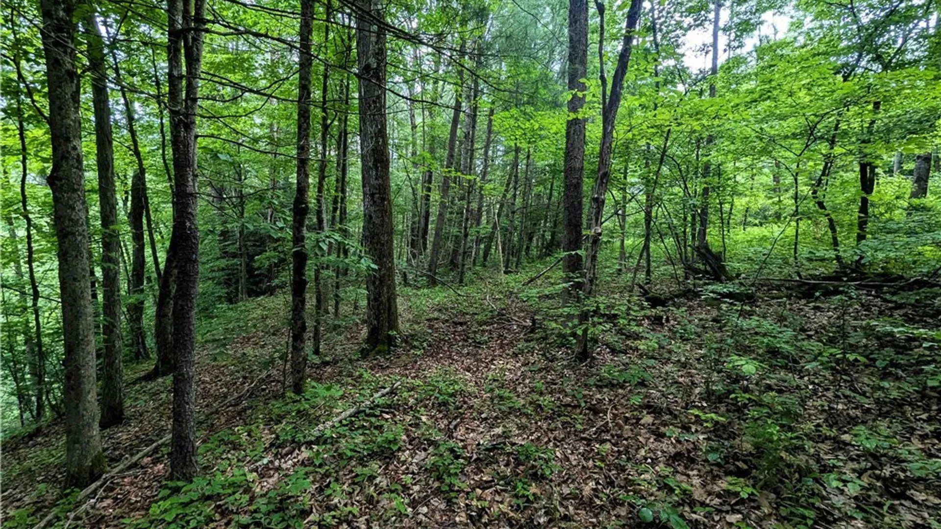 Property at Bell Hill Road, Lindley, NY 14858 7