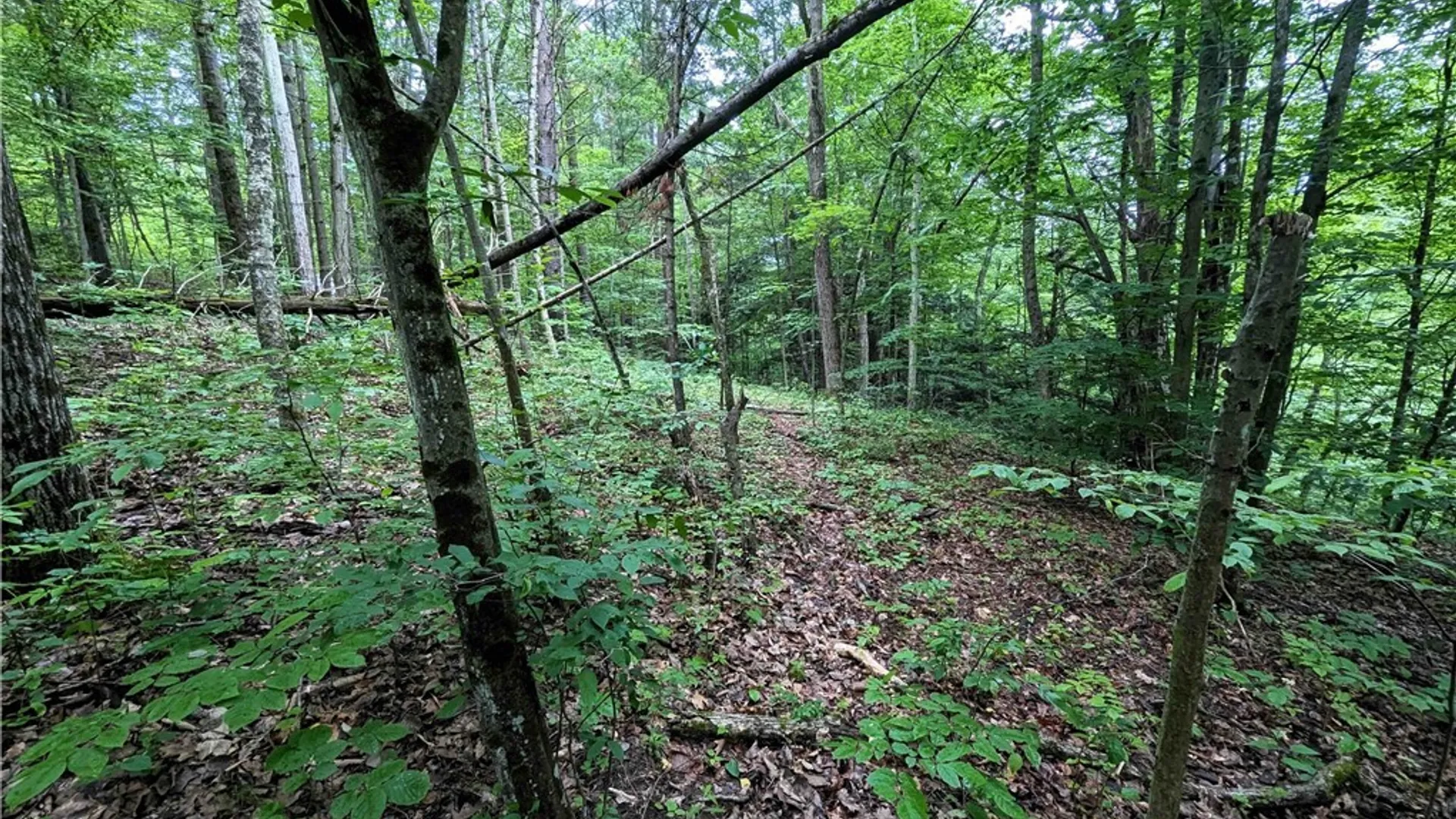 Property at Bell Hill Road, Lindley, NY 14858 8