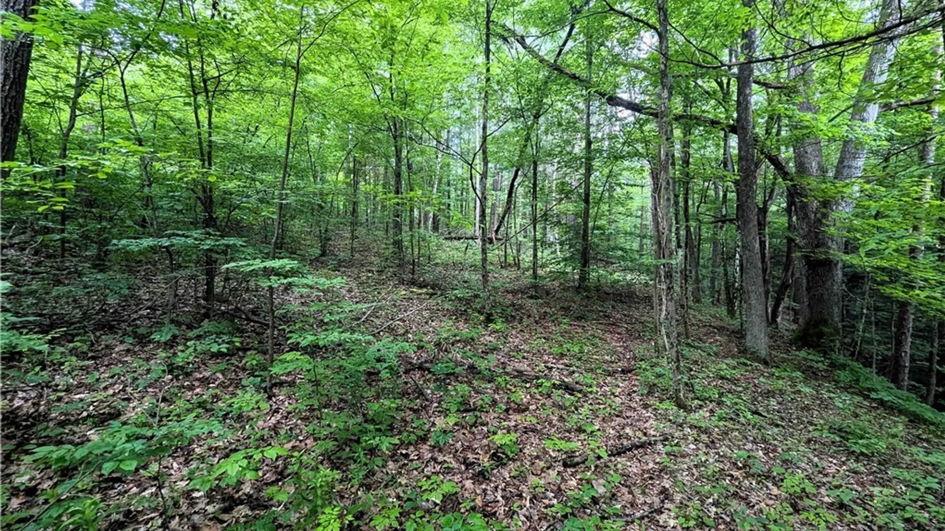 Property at Bell Hill Road, Lindley, NY 14858 9