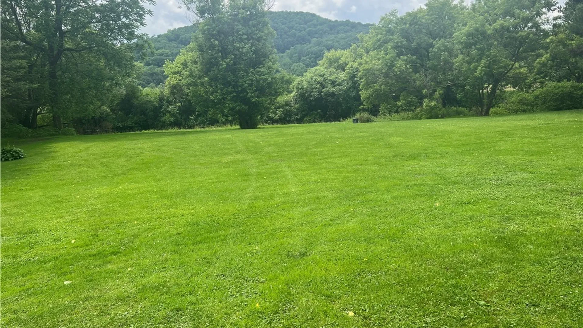 Property at 3309 Five Mile Road, Allegany, NY 14706 11