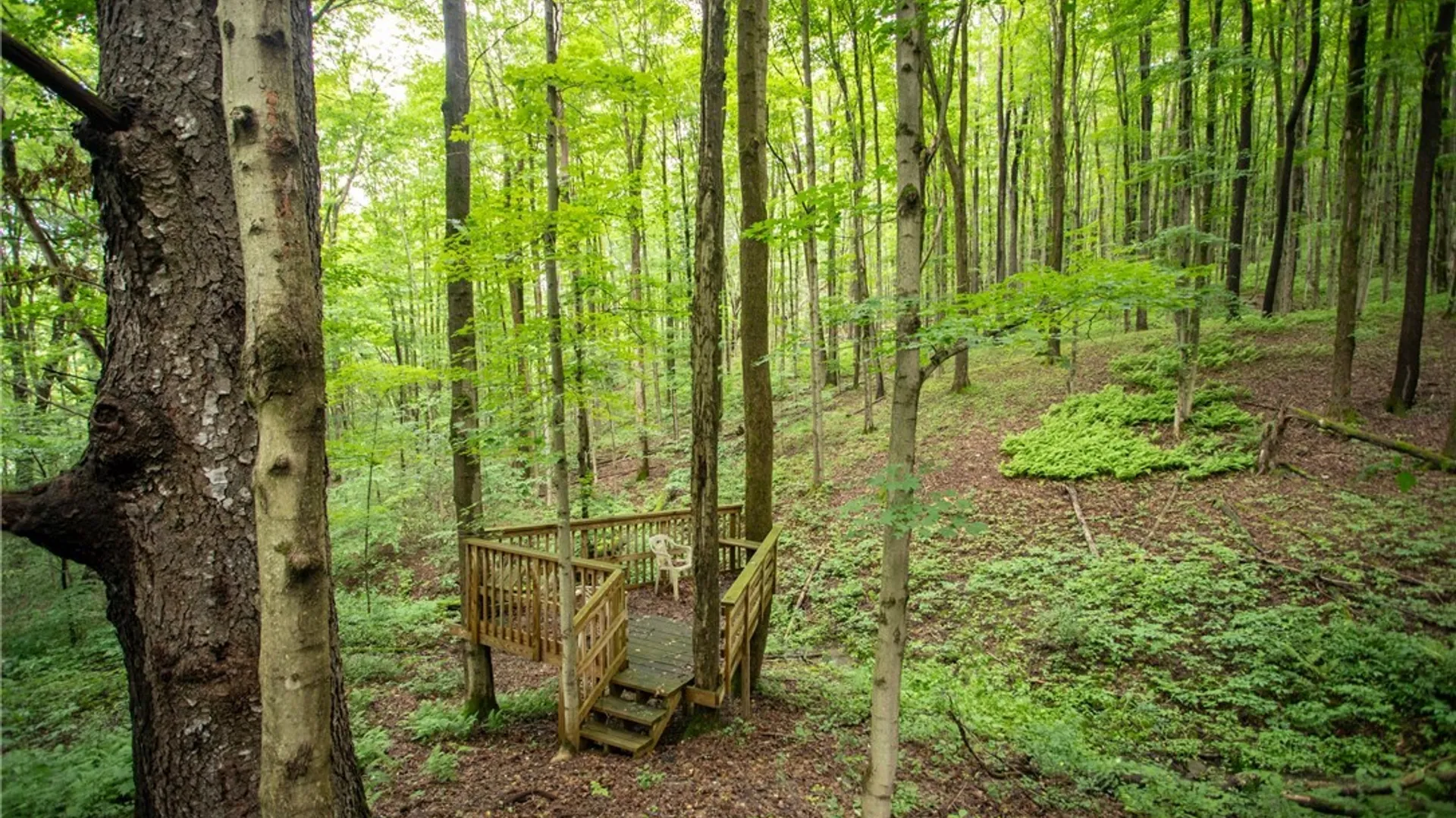 Property at 7756 ROUTE 219, Ellicottville, NY 14731 32
