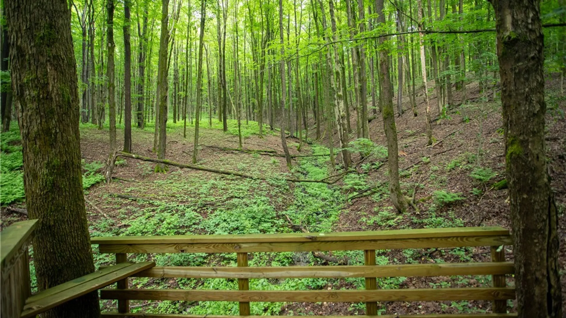Property at 7756 ROUTE 219, Ellicottville, NY 14731 34