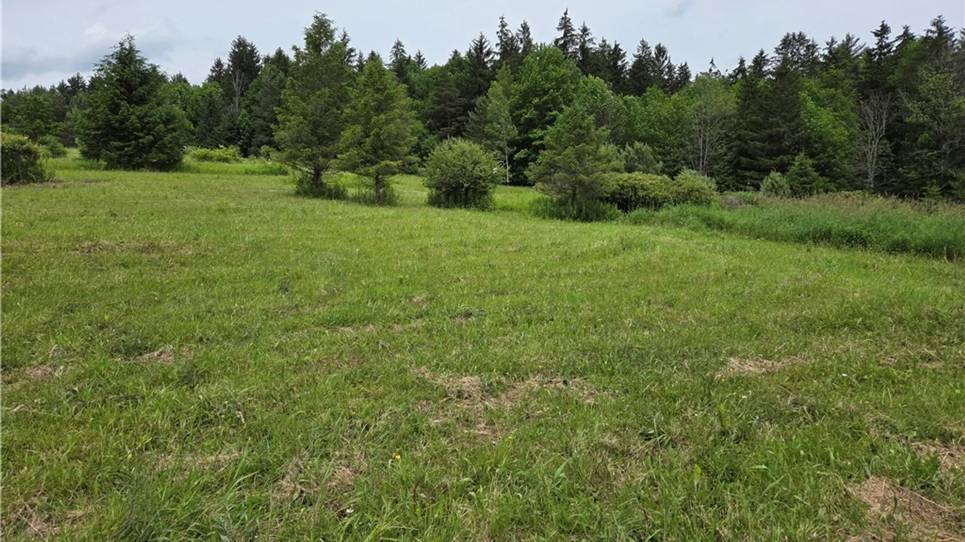 Property at 548 Hardys Corners Road, Farmersville, NY 14060 4