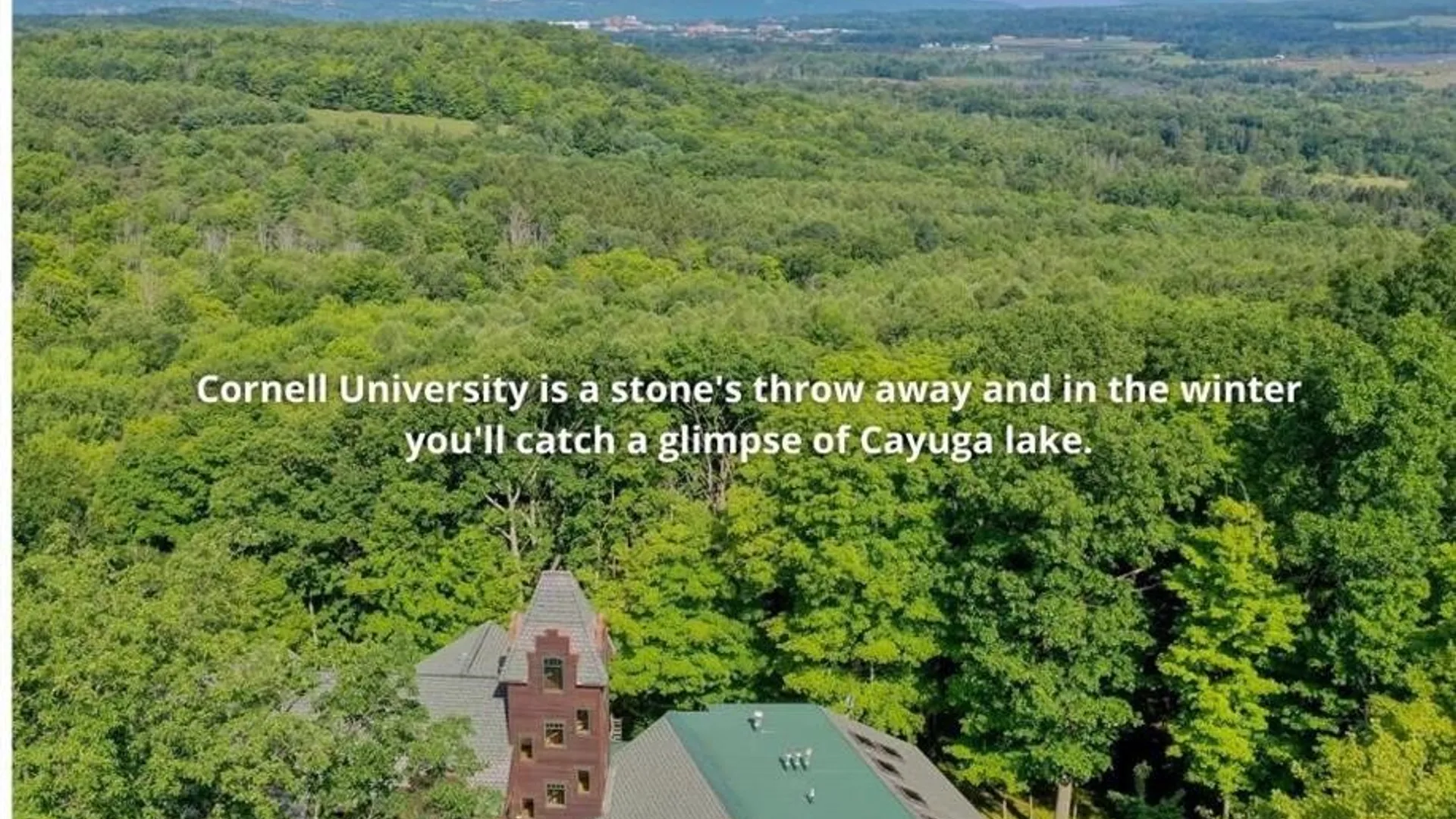 Property at 92 Genung Circle, Dryden, NY 14850 46