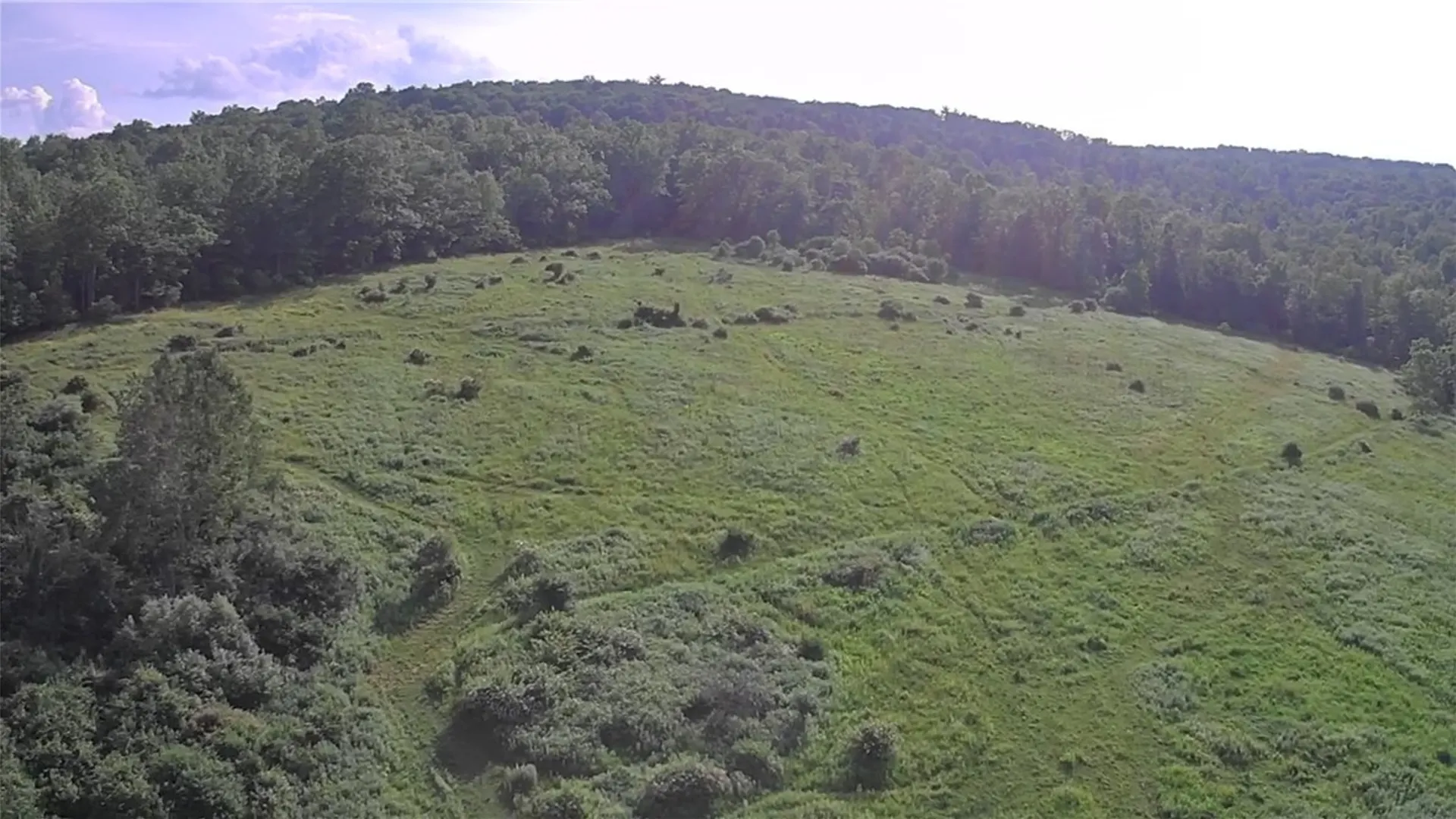 Property at 510 Pine Valley Road, Catlin, NY 14872 3