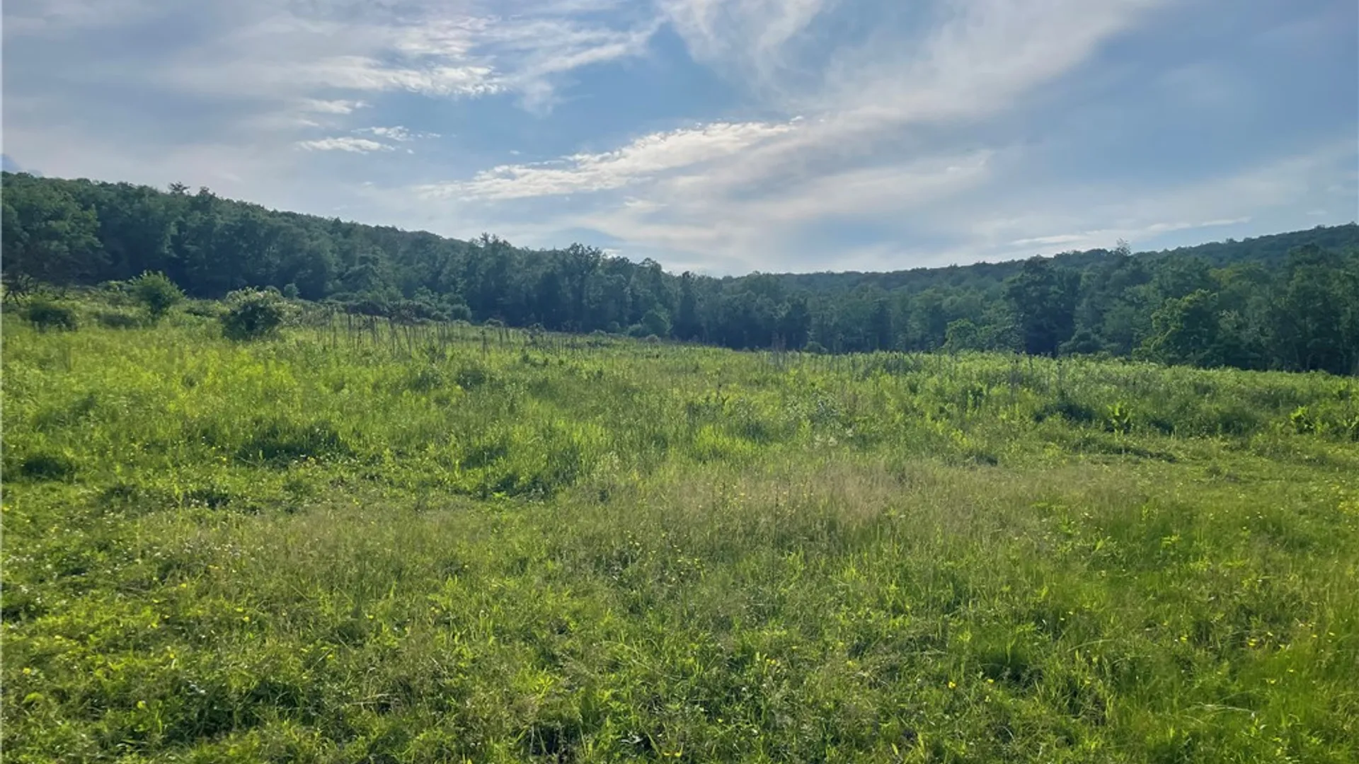 Property at 510 Pine Valley Road, Catlin, NY 14872 5