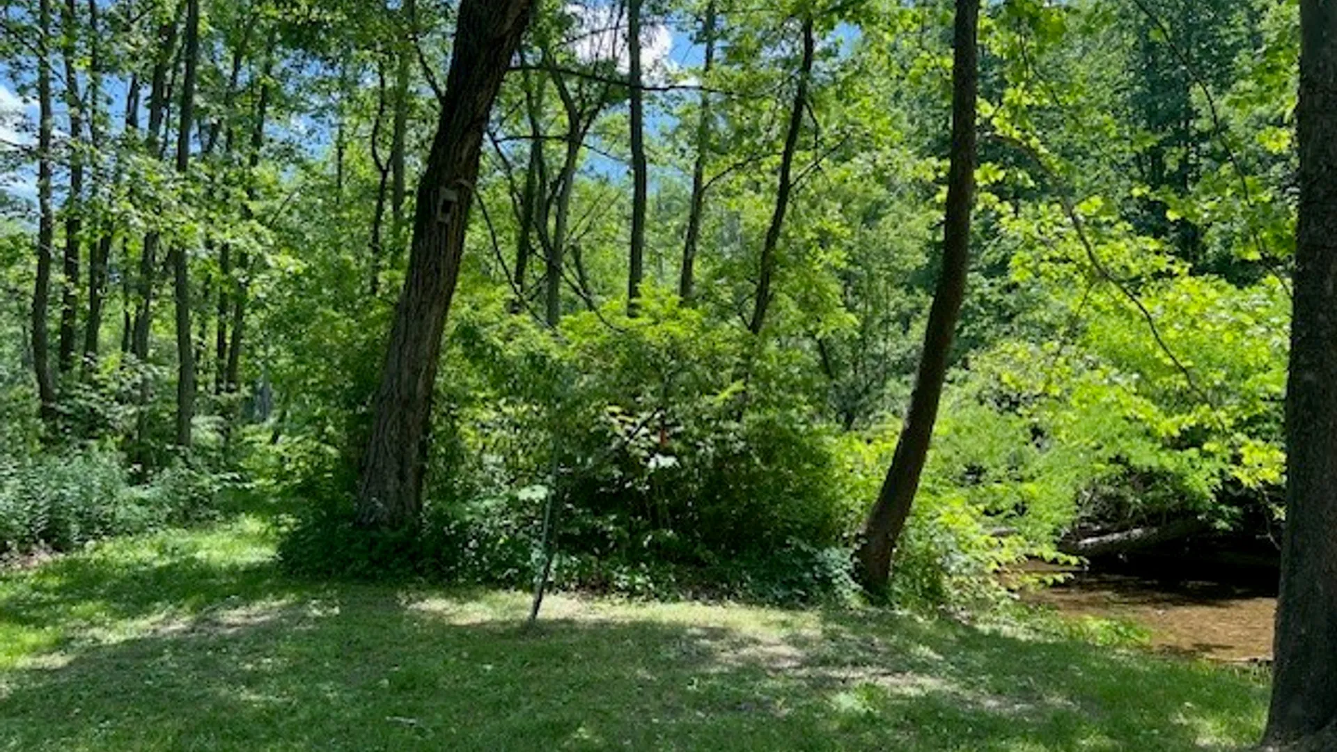 Property at 4643 Watkins Road, Veteran, NY 14864 2