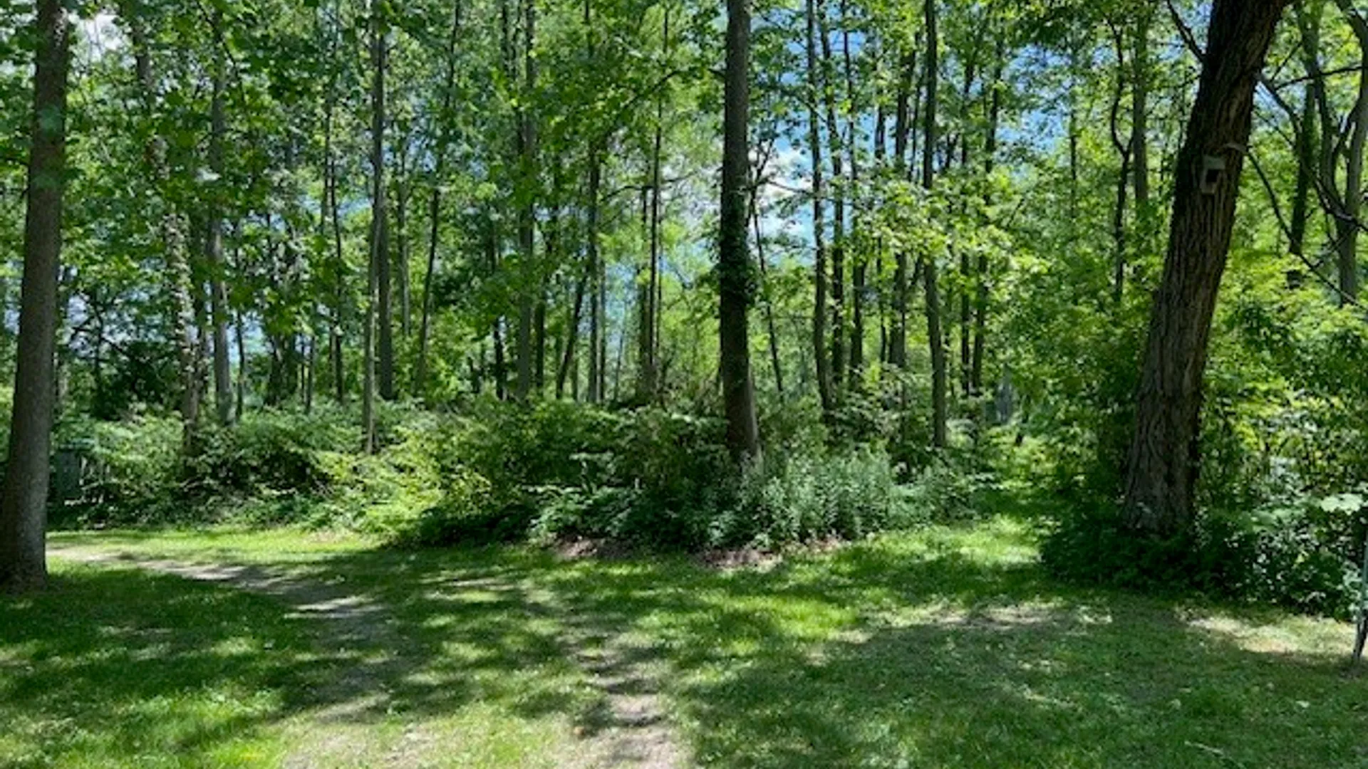 Property at 4643 Watkins Road, Veteran, NY 14864 3