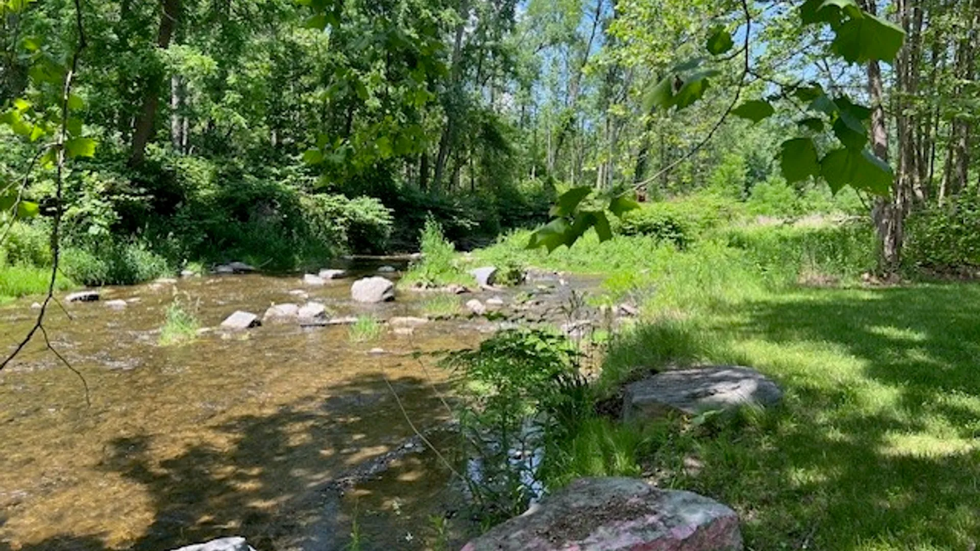 Property at 4643 Watkins Road, Veteran, NY 14864 6