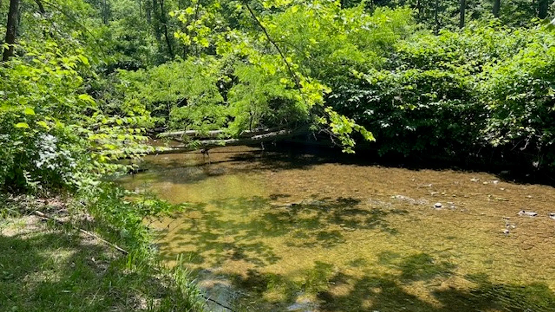 Property at 4643 Watkins Road, Veteran, NY 14864 7