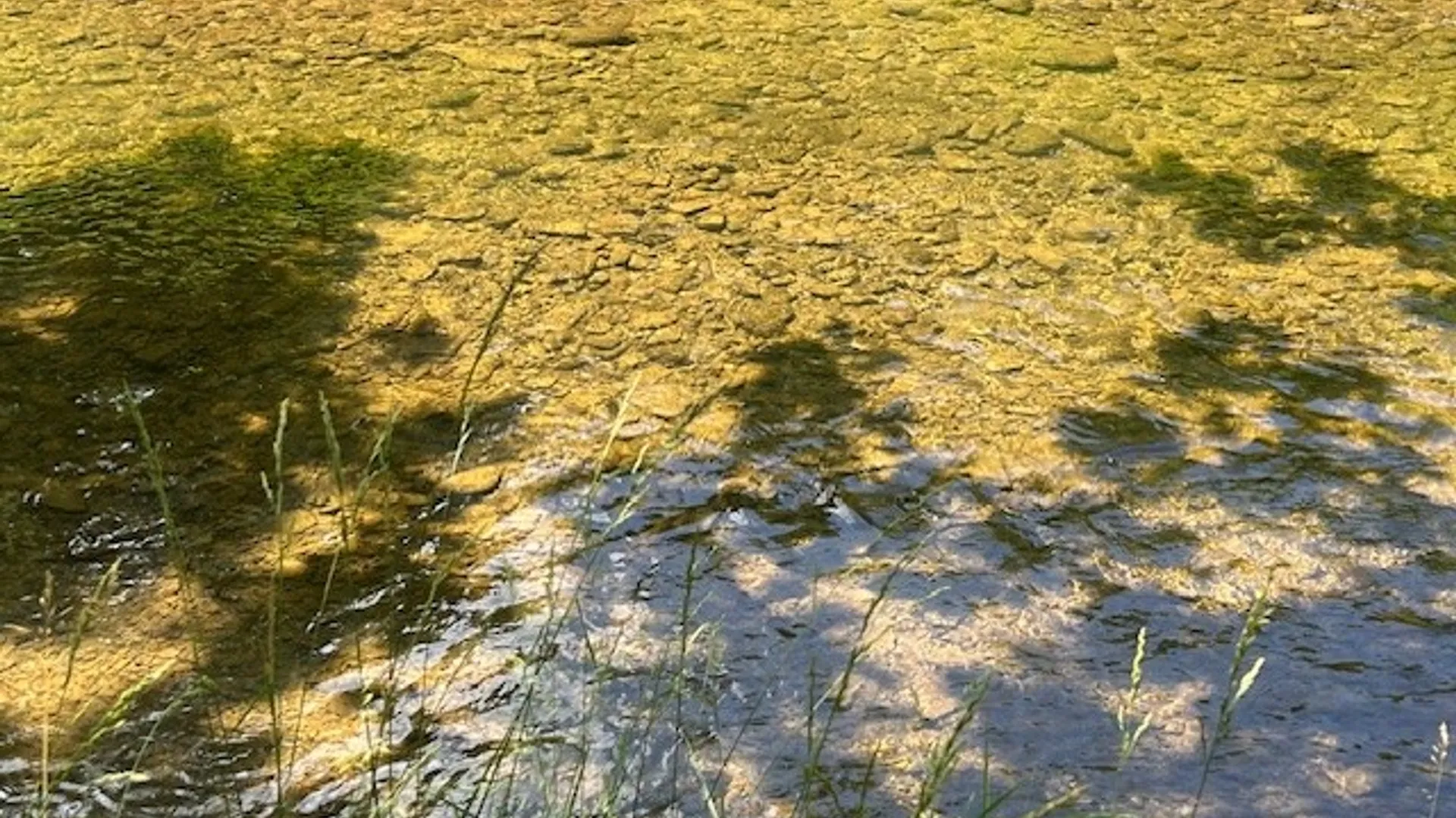 Property at 4643 Watkins Road, Veteran, NY 14864 8