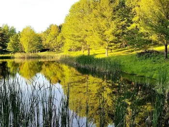 Property at 5561 Pigtail Road, Friendship, NY 14739