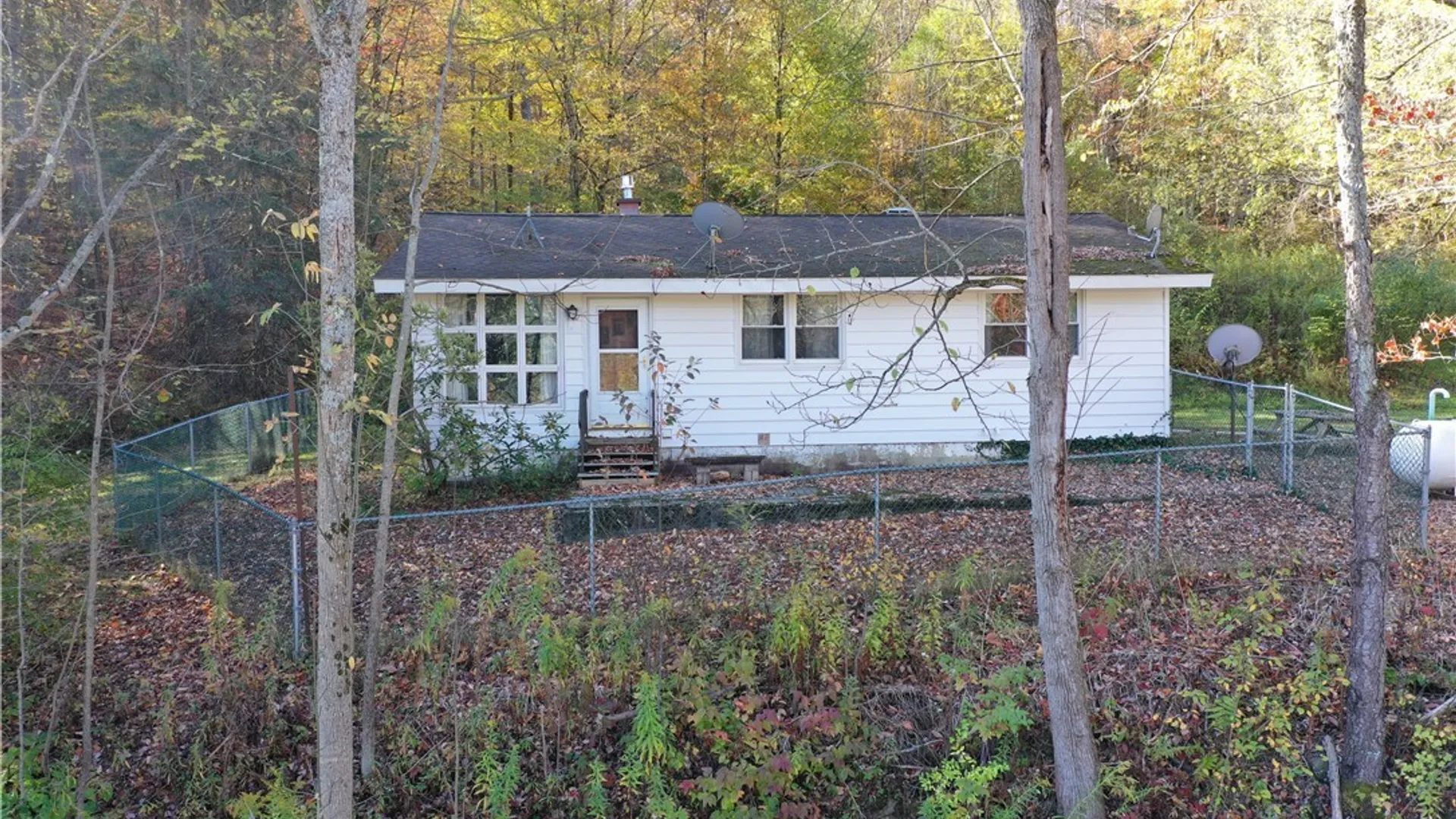 Property at 8905 Bucktooth Run Road, Little Valley, NY 14755 12