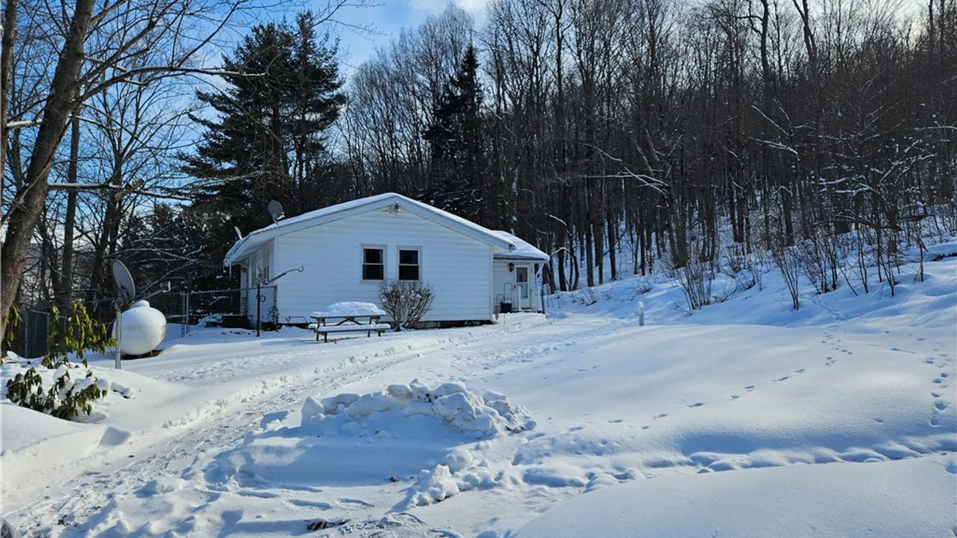 Property at 8905 Bucktooth Run Road, Little Valley, NY 14755 3