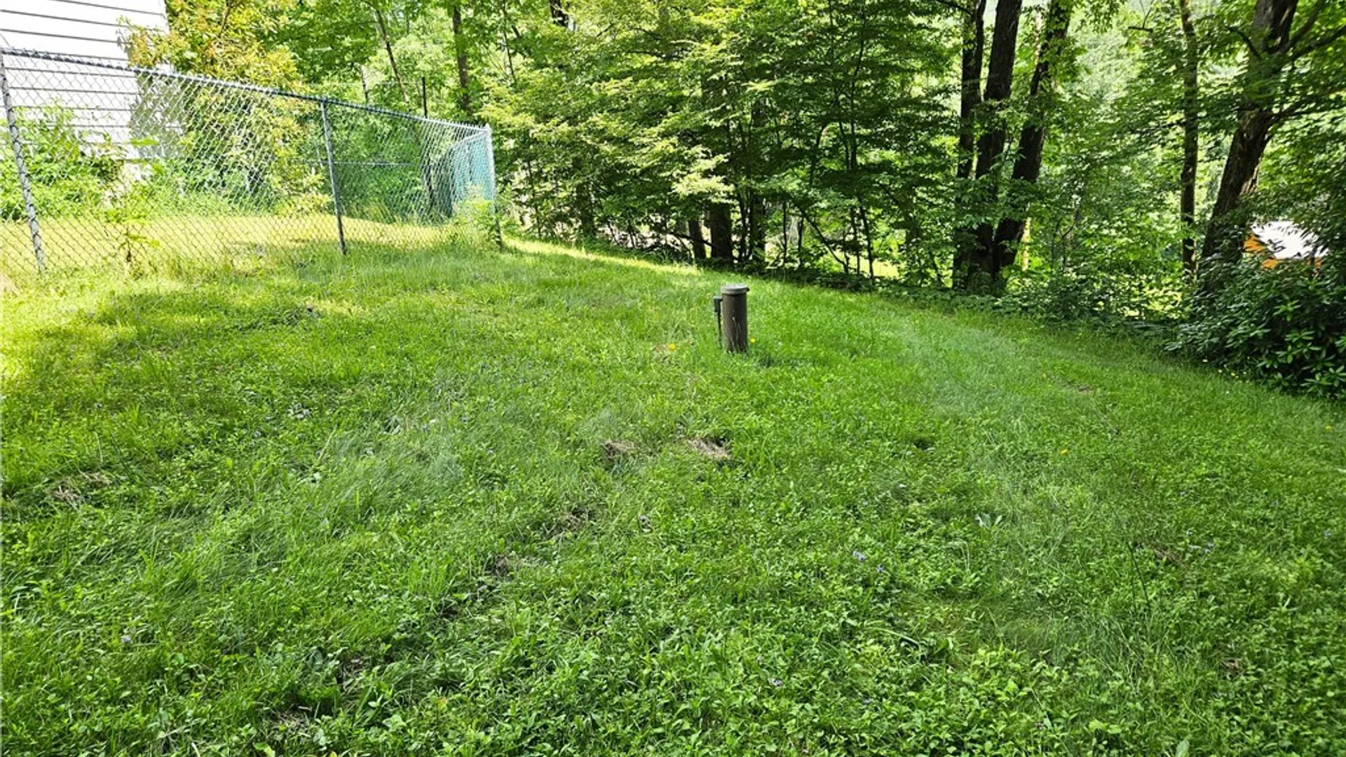Property at 8905 Bucktooth Run Road, Little Valley, NY 14755 37