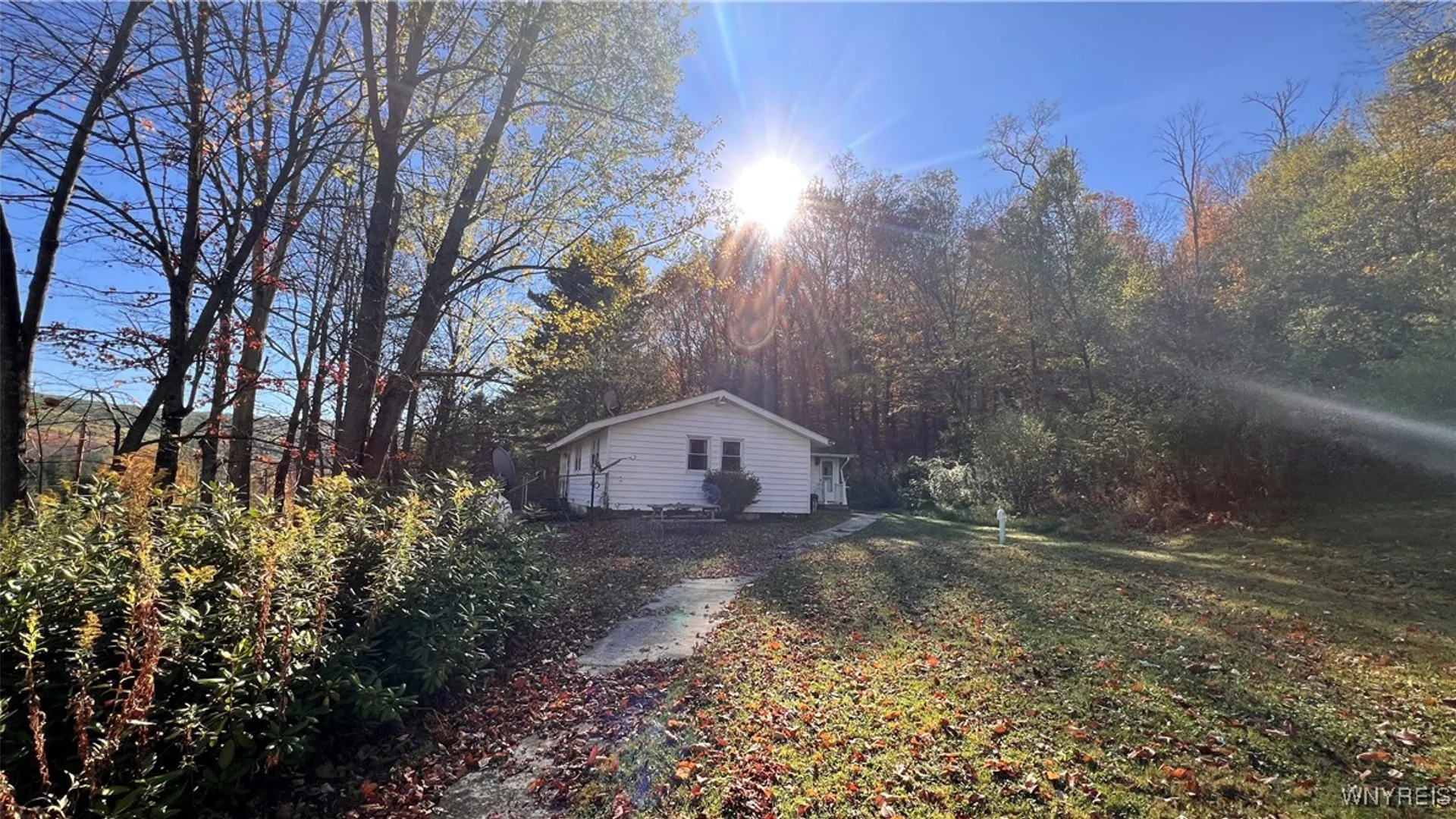 Property at 8905 Bucktooth Run Road, Little Valley, NY 14755 40
