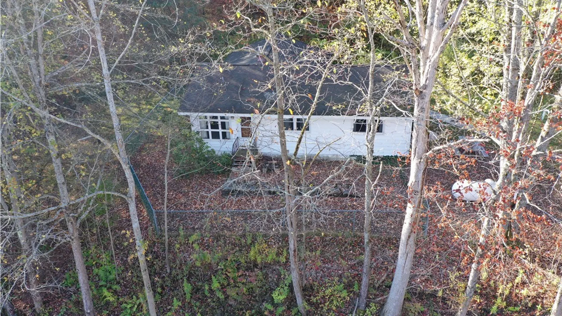 Property at 8905 Bucktooth Run Road, Little Valley, NY 14755 41