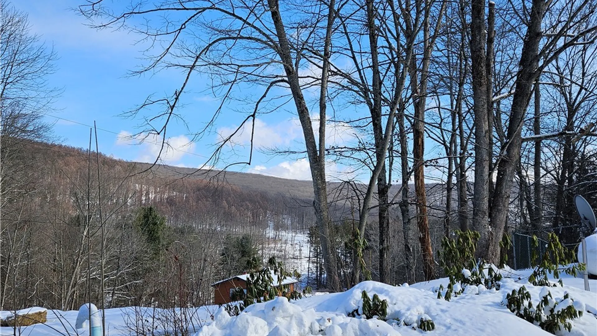 Property at 8905 Bucktooth Run Road, Little Valley, NY 14755 5