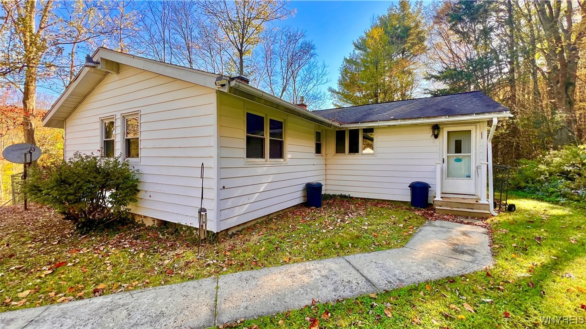 Property at 8905 Bucktooth Run Road, Little Valley, NY 14755 8