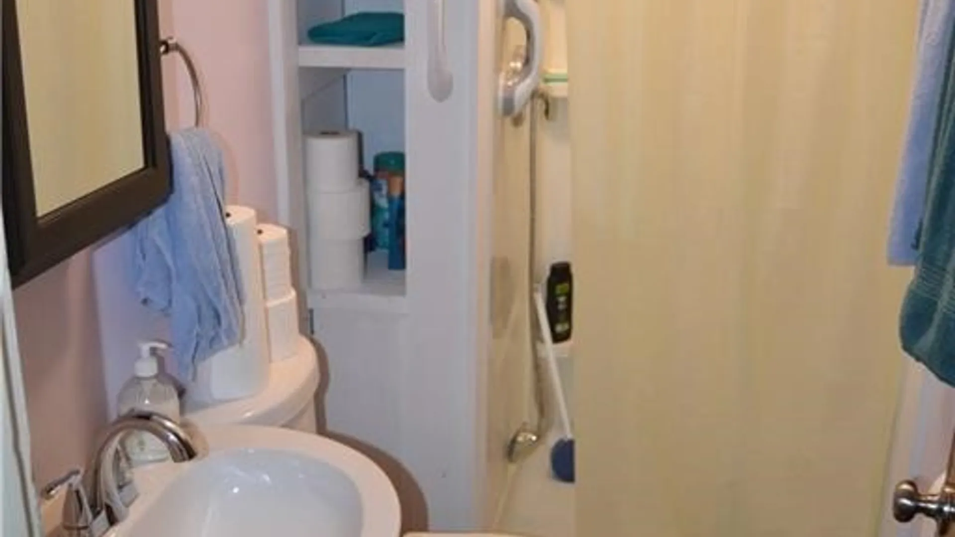 Property at 38 Chapin Street, Canandaigua City, NY 14424 24