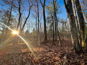 Property at Oak Hill Road, Baldwin, NY 14861