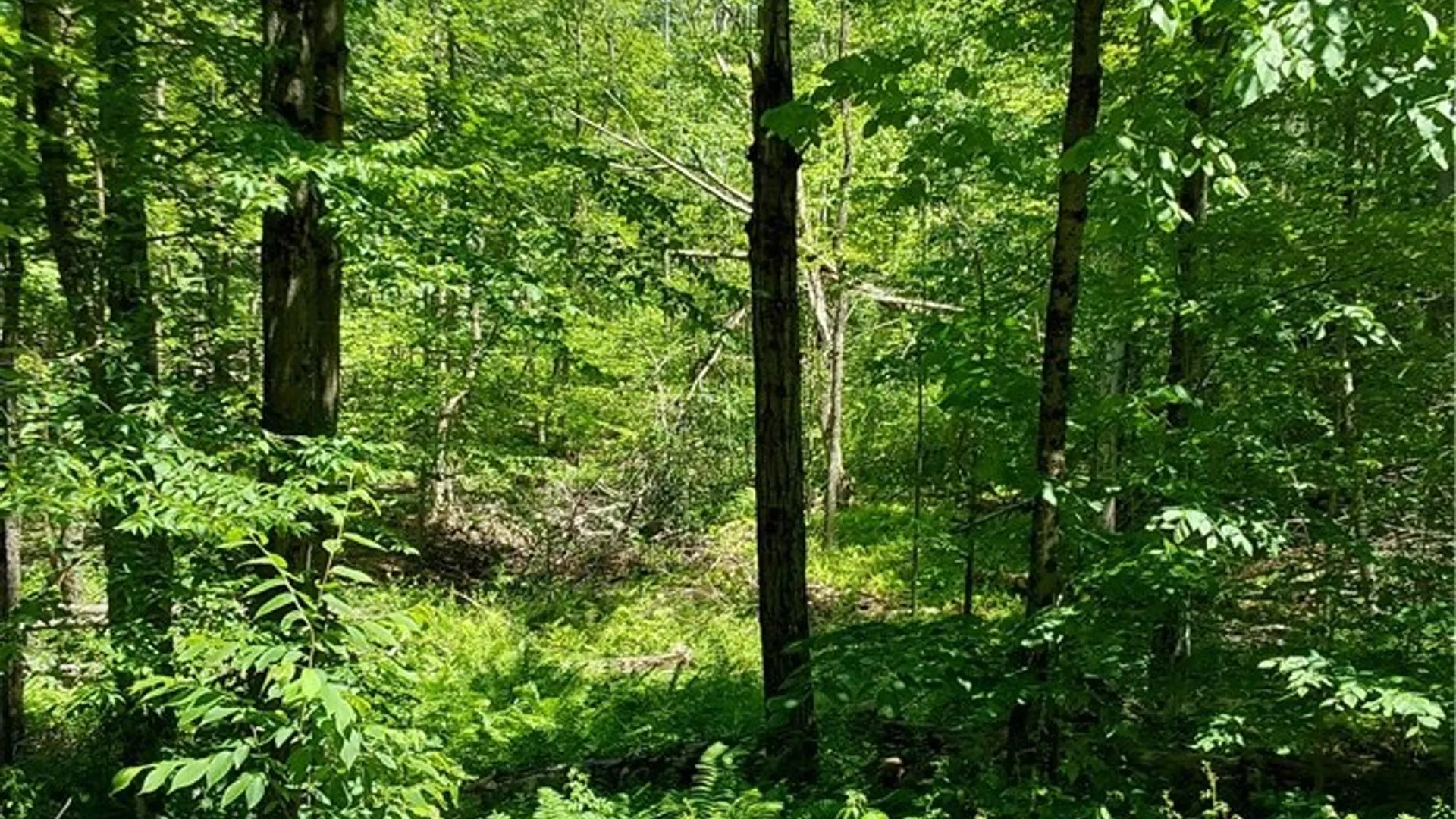 Property at 1273 Newport Gray Road Road, Norway, NY 13416 23