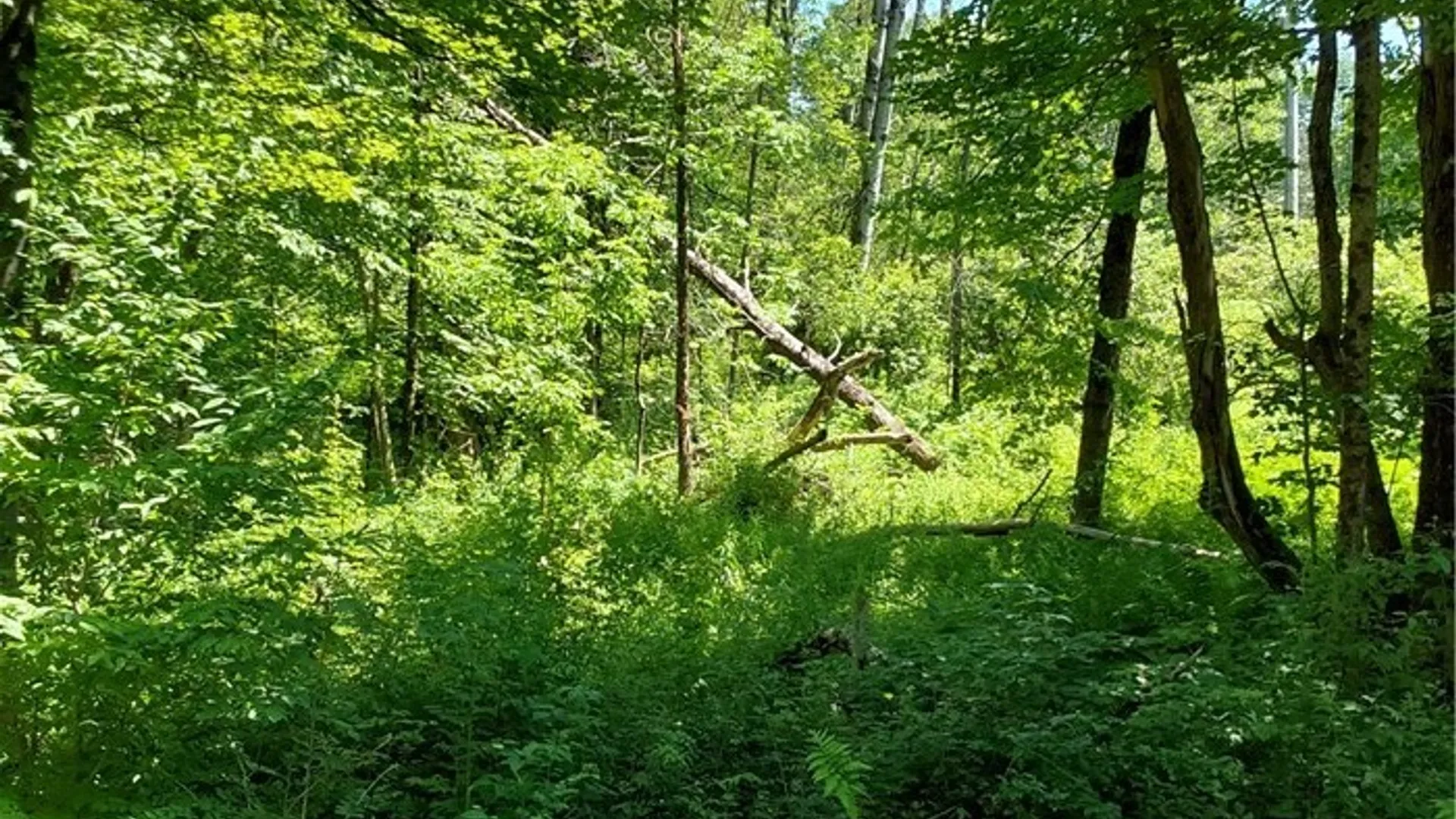 Property at 1273 Newport Gray Road Road, Norway, NY 13416 24