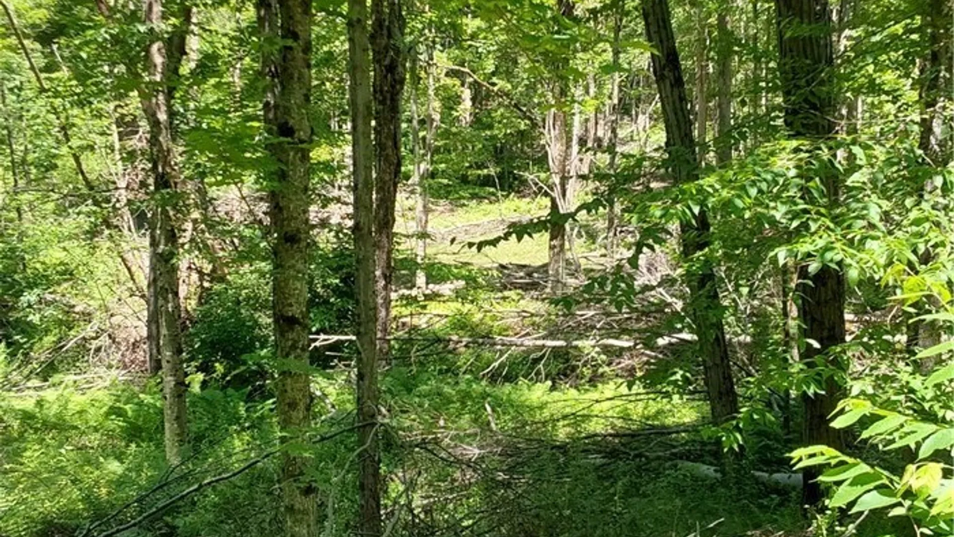 Property at 1273 Newport Gray Road Road, Norway, NY 13416 26